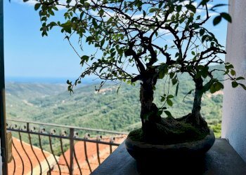 Foto 5 - Independent house San Giovanni
 
18020, Prelà - photo 5