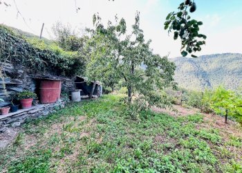 giardino - Independent house San Giovanni
 
18020, Prelà - photo 6