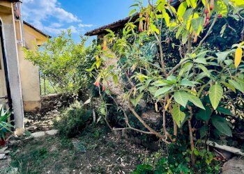 giardino - Independent house San Giovanni
 
18020, Prelà - photo 30