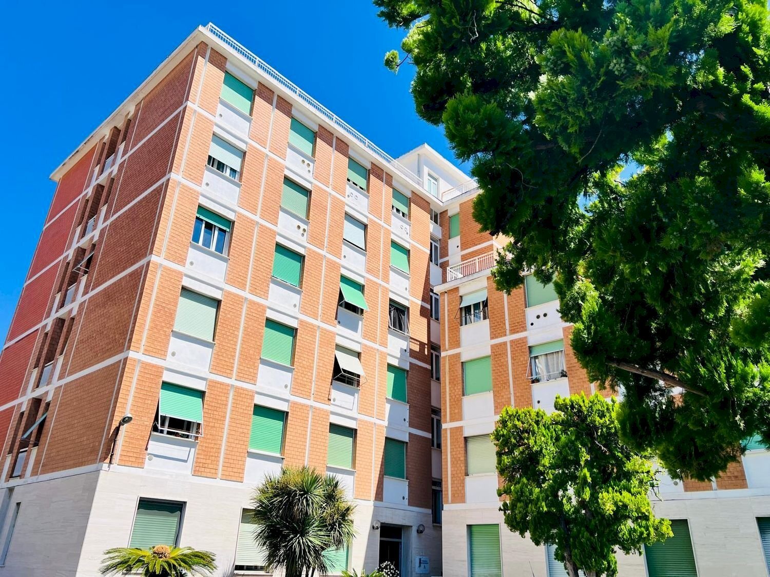 vista - Cantina / Solaio via Aurelia
82, San Bartolomeo al Mare - foto 3