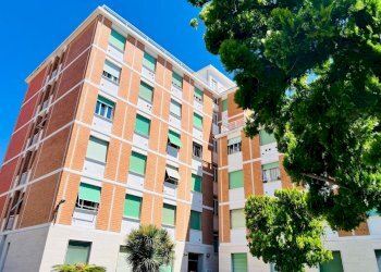 vista - Cantina / Solaio via Aurelia
82, San Bartolomeo al Mare - foto 3