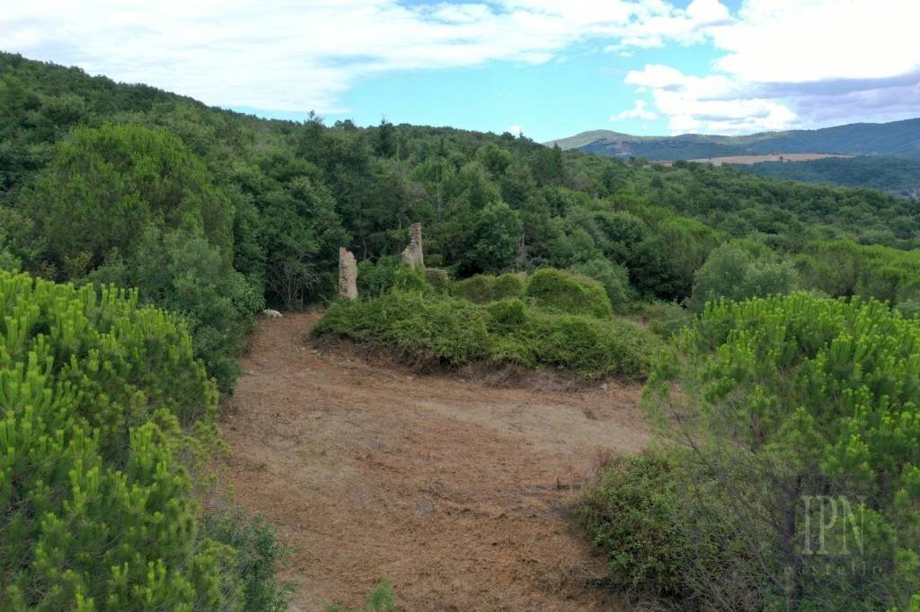 Terreno - Rustic via Pian di Marte, 53, Lisciano Niccone - photo 2