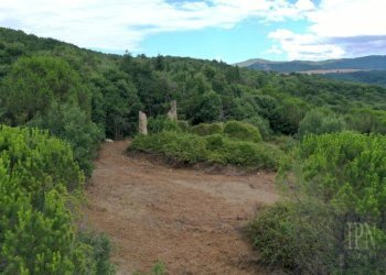 Terreno - Rustico via Pian di Marte, 53, Lisciano Niccone - foto 2