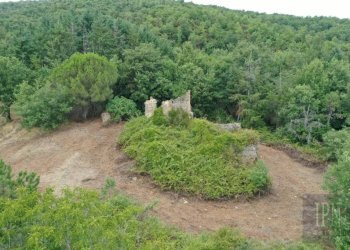 Terreno - Rustico via Pian di Marte, 53, Lisciano Niccone - foto 3