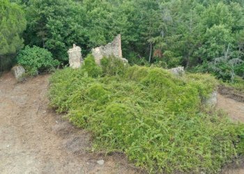 Terreno - Rustico via Pian di Marte, 53, Lisciano Niccone - foto 4