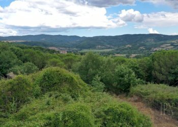 Vista - Rustico via Pian di Marte, 53, Lisciano Niccone - foto 6