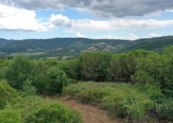 Terreno - Rustico via Pian di Marte, 53, Lisciano Niccone - foto 7