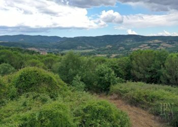 Vista - Rustico via Pian di Marte, 53, Lisciano Niccone - foto 9