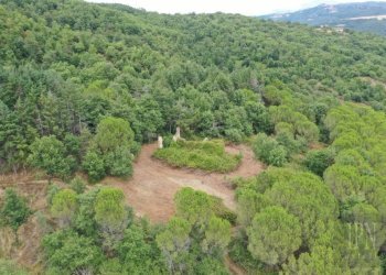 Terreno - Rustico via Pian di Marte, 53, Lisciano Niccone - foto 10