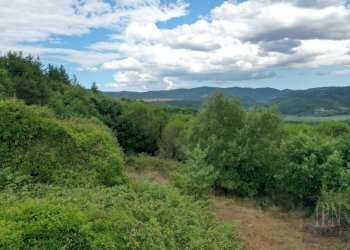 Terreno - Rustico via Pian di Marte, 53, Lisciano Niccone - foto 12