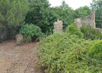 Terreno - Rustico via Pian di Marte, 53, Lisciano Niccone - foto 13