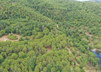 Terreno - Rustico via Pian di Marte, 53, Lisciano Niccone - foto 14