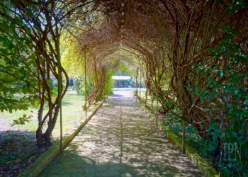 Giardino - Rustico strada Statale di Gubbio e Pian d'Assino, Gubbio - foto 31
