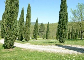 Rustico via Tusicum, Umbertide - foto 6