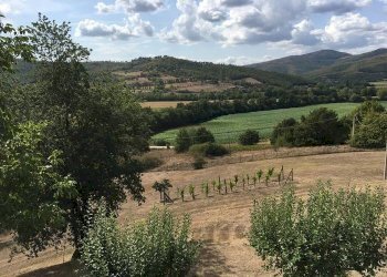 Rustico via Tusicum, Umbertide - foto 7