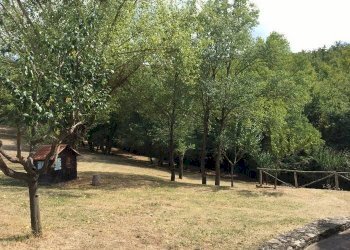 Rustico via Tusicum, Umbertide - foto 11