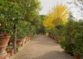 Rustico strada di Montevile, Perugia - foto 8