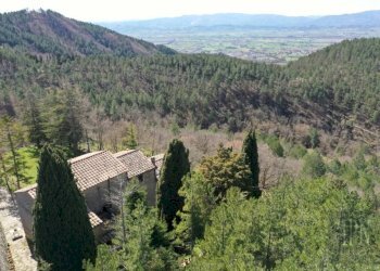 Vista - Villa strada Comunale della Montagna, 100, Sansepolcro - foto 6