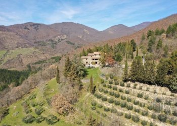 Vista - Villa strada Comunale della Montagna, 100, Sansepolcro - foto 7