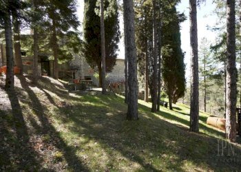 Giardino - Villa strada Comunale della Montagna, 100, Sansepolcro - foto 11