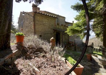 Giardino - Villa strada Comunale della Montagna, 100, Sansepolcro - foto 12