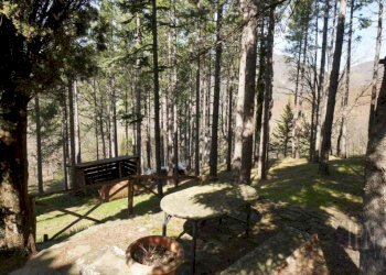 Giardino - Villa strada Comunale della Montagna, 100, Sansepolcro - foto 14