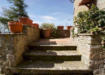 Giardino - Villa strada Comunale della Montagna, 100, Sansepolcro - foto 20