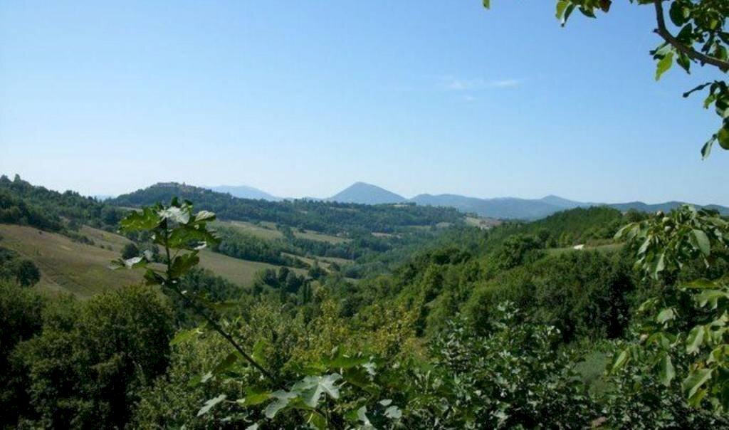 Rustico montone s.n.c, Montone - foto 3