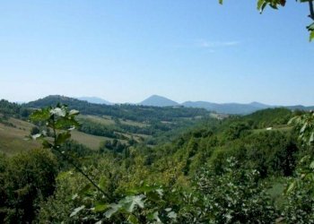 Rustico montone s.n.c, Montone - foto 3