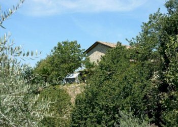 Rustico montone s.n.c, Montone - foto 4