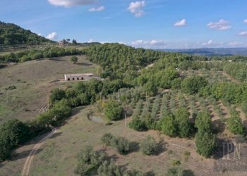 Vista - Rustico via Rodolfo Morandi, 4A, Umbertide - foto 9