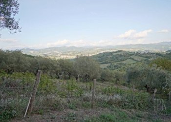 Terreno - Rustico via Rodolfo Morandi, 4A, Umbertide - foto 16