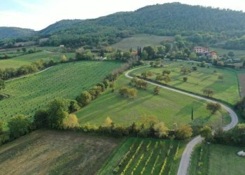 Vista - Rustico Vocabolo Palazzetto, Città di Castello - foto 6