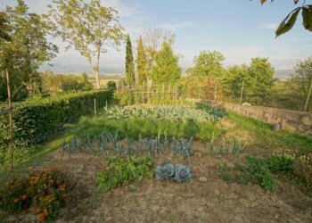 Terreno - Rustico Vocabolo Palazzetto, Città di Castello - foto 9
