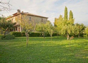 Terreno - Rustico Vocabolo Palazzetto, Città di Castello - foto 10