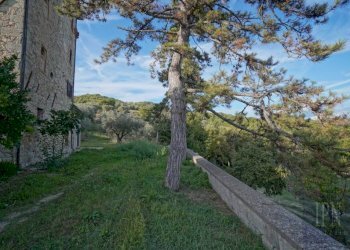 Terreno - Villa strada Statale del Niccone, Umbertide - foto 12