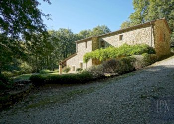 Facciata - Villa strada Statale del Niccone, Umbertide - foto 18