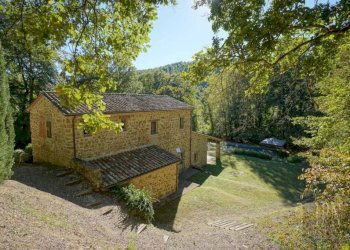 Terreno - Villa strada Statale del Niccone, Umbertide - foto 19