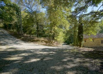 Giardino - Villa strada Statale del Niccone, Umbertide - foto 21