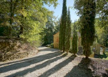 Giardino - Villa strada Statale del Niccone, Umbertide - foto 22