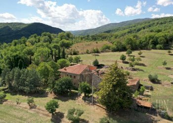 Rustico Monterchi - foto 3