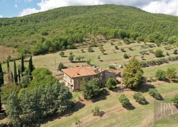 Rustico Monterchi - foto 4