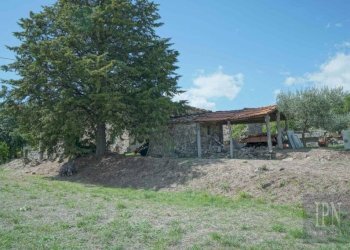 Rustico Monterchi - foto 13