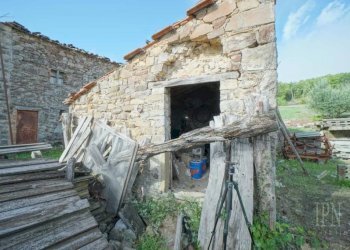 Rustico Monterchi - foto 14