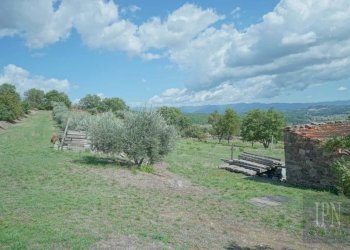 Rustico Monterchi - foto 22