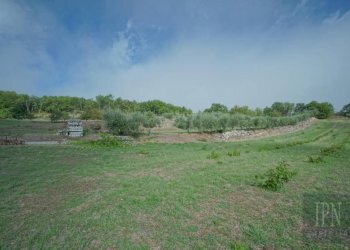 Rustico Monterchi - foto 23