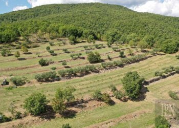 Rustico Monterchi - foto 24