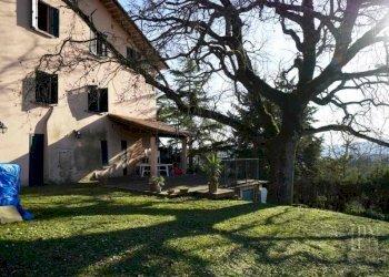 Giardino - Villa via San Pietro, Monte Santa Maria Tiberina - foto 8