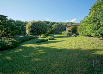 Terreno - Villa Città di Castello - foto 27