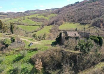 Rustic Umbertide - photo 17